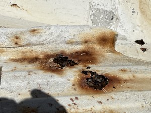 Toiture rouillée laissant entrer l'eau en cas de pluie