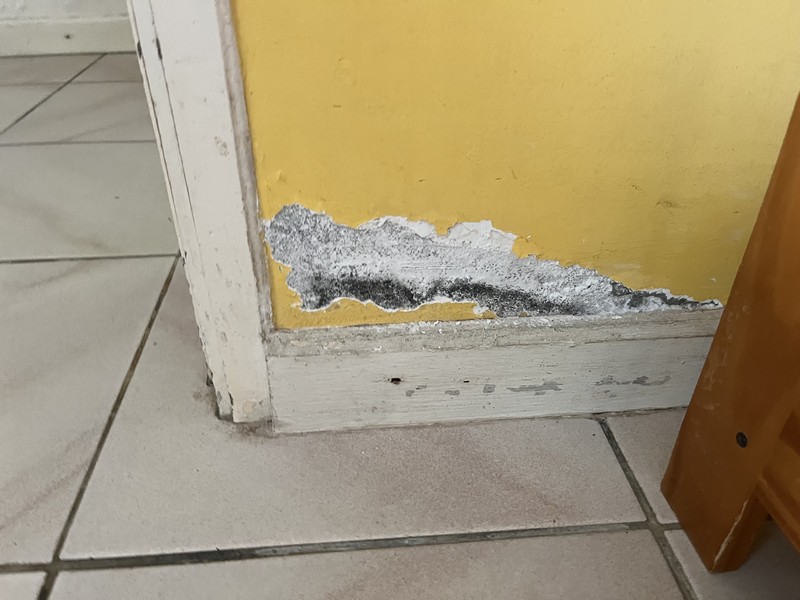 Mur jaune subissant une remontée capillaire dûe à l'humidité à La Réunion